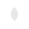 MongoDb